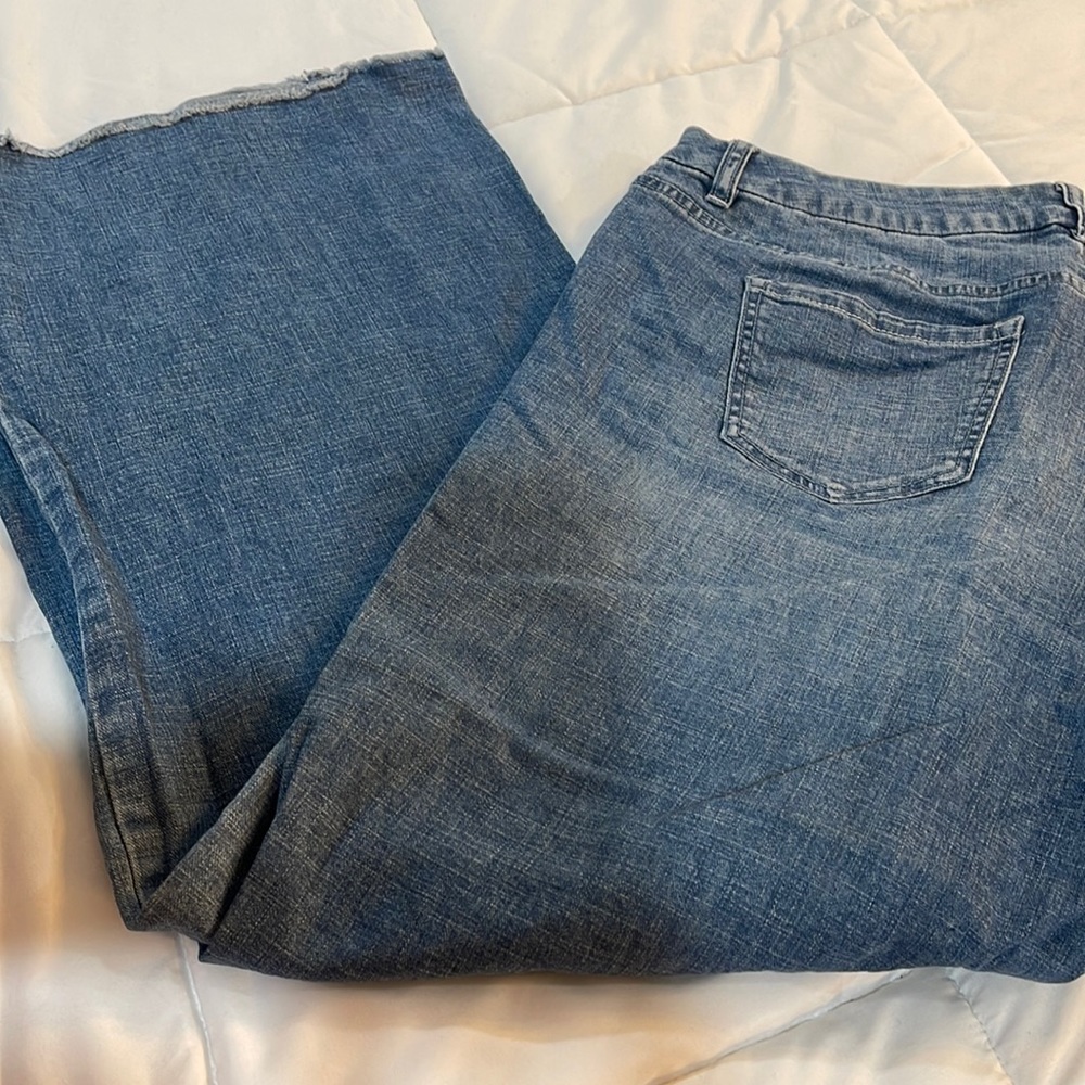 Lane Bryant A-line denim pants